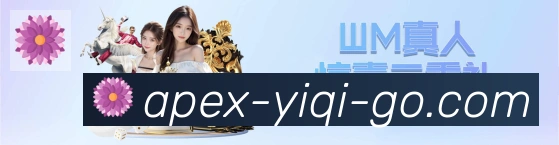 奖项证书